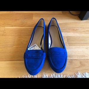 Zara shoes (suede)